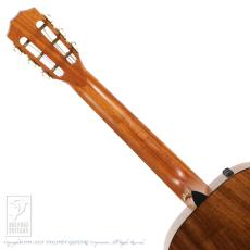Taylor 412e 12Fret LTD_7