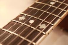 ZEMAITIS 1979 Wood Front Custom Deluxe_4