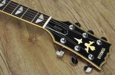 YAMAHA SG500_5