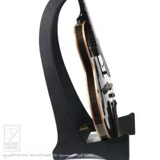 Switch F-2 (Trans Black Burst)【60回無金利対象品】_3