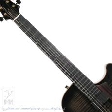 Switch F-2 (Trans Black Burst)【60回無金利対象品】_5