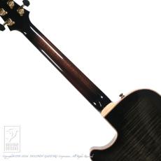 Switch F-2 (Trans Black Burst)【60回無金利対象品】_6