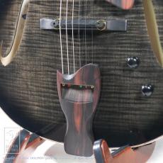 Switch F-2 (Trans Black Burst)【60回無金利対象品】_10
