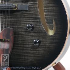 Switch F-2 (Trans Black Burst)【60回無金利対象品】_12