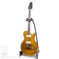 ARIA PROll PE-5450CR/SH_2