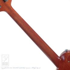 ARIA PROll PE-5450CR/SH_6