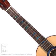 DaSilva TB-Tenor-Blue【60回無金利対象品】_5