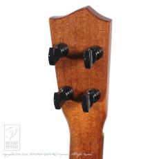 DaSilva TB-Tenor-Blue【60回無金利対象品】_8