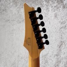 Ibanez RG-2570Z_5