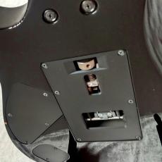 Ibanez RG-2570Z_7
