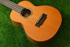 aNueNue aNN-C4 Concert