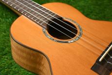 aNueNue aNN-C4 Concert_11