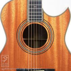 Fonzo Guitar V31M SJ FC _11