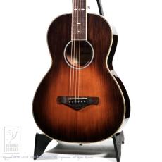 Ibanez AVN10-BVS (Brown Violin Sunburst)
