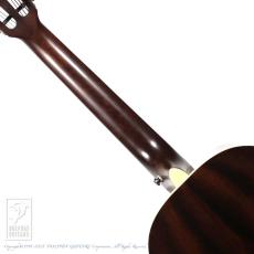 Ibanez AVN10-BVS (Brown Violin Sunburst)_6