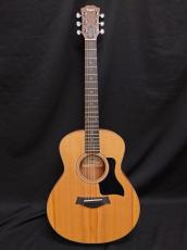 Taylor GS Mini