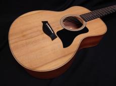 Taylor GS Mini_5