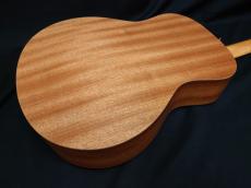 Taylor GS Mini_6