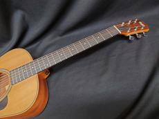 Taylor GS Mini_7