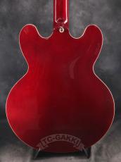 Epiphone 2010 Riviera Mod_5