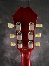 Epiphone 2010 Riviera Mod_7