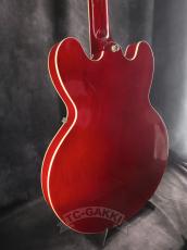Epiphone 2010 Riviera Mod_8