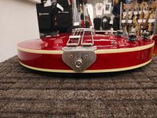 Epiphone 2010 Riviera Mod_10