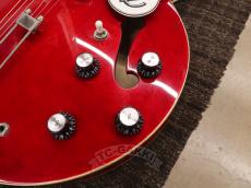 Epiphone 2010 Riviera Mod_12