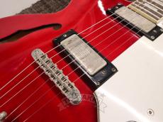 Epiphone 2010 Riviera Mod_14