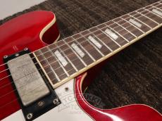 Epiphone 2010 Riviera Mod_15