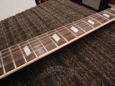 Epiphone 2010 Riviera Mod_16