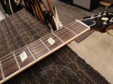 Epiphone 2010 Riviera Mod_17