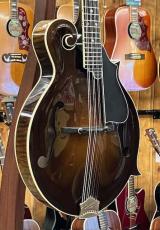 Cooster  CS-F5S Icelandic Brown #240027