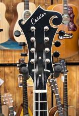 Cooster  CS-F5S Icelandic Brown #240027_5