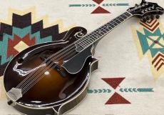 Cooster  CS-F5S Icelandic Brown #240027_10