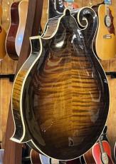 Cooster  CS-F5S Dark Cherry Burst #240026_6