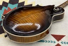 Cooster  CS-F5S Dark Cherry Burst #240026_10