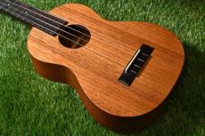 K.Yairi UT-M1 Tenor_2