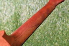 K.Yairi UT-M1 Tenor_9