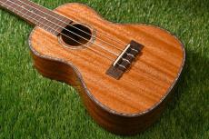 DCT DUC-300M Concert