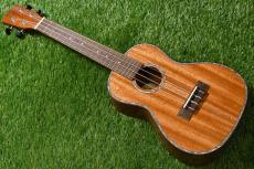 DCT DUC-300M Concert_2