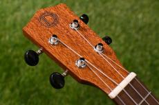 DCT DUC-300M Concert_5