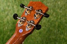 DCT DUC-300M Concert_6