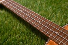 DCT DUC-300M Concert_7