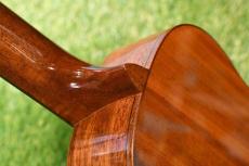 DCT DUC-300M Concert_9