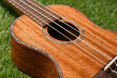 DCT DUC-300M Concert_11