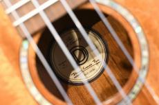 DCT DUC-300M Concert_16
