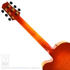 Sadowsky The Jim Hall Model (VLB)_7