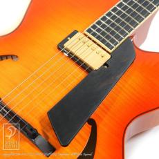 Sadowsky The Jim Hall Model (VLB)_11