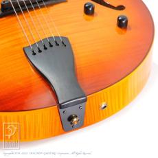 Sadowsky The Jim Hall Model (VLB)_13